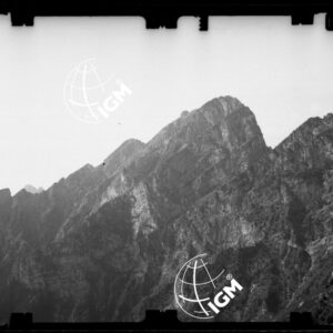 Staz. 14 - Bellunese - Monte Pelf - - LN00016586