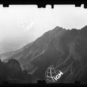 Staz. 14 - Bellunese - Monte Pelf - - LN00016587