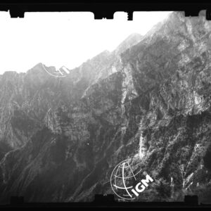 Staz. 14 - Bellunese - Monte Pelf - - LN00016588