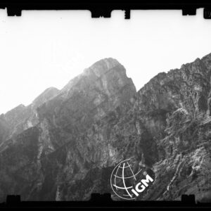 Staz. 14 - Bellunese - Monte Pelf - - LN00016589