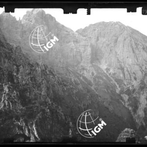 Staz. 15 - Bellunese - Monte Pelf - - LN00016591