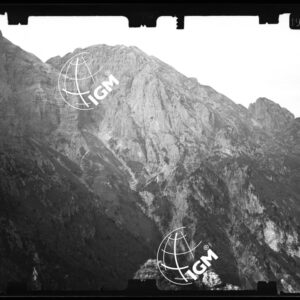 Staz. 15 - Bellunese - Monte Pelf - - LN00016592