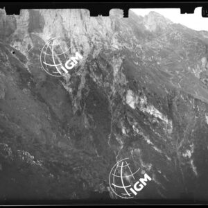 Staz. 15 - Bellunese - Monte Pelf - - LN00016596