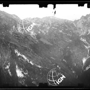 Staz. 15 - Bellunese - Monte Pelf - - LN00016597
