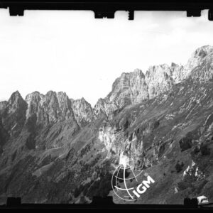 Staz. 18 - Bellunese - Monte Pelf - - LN00016619