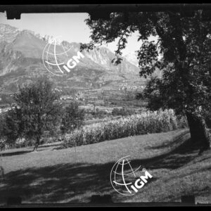 Staz. 19 - Bellunese - Pieve D'Alpago - - LN00016621