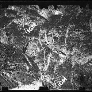 Staz. 26 - Bellunese - Monte Pelf - - LN00016666