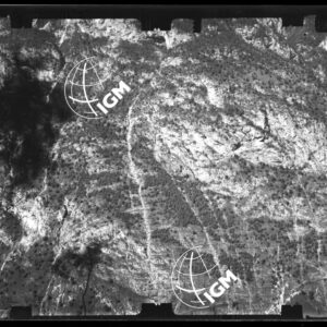 Staz. 27 - Bellunese - Monte Pelf - - LN00016667