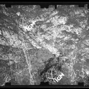 Staz. 27 - Bellunese - Monte Pelf - - LN00016668