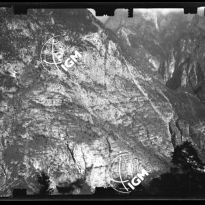 Staz. 27 - Bellunese - Monte Pelf - - LN00016669