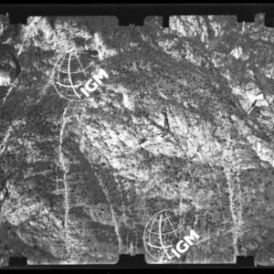 Staz. 27 - Bellunese - Monte Pelf - - LN00016670