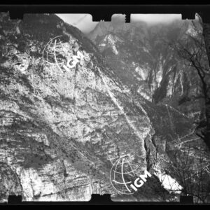 Staz. 27 - Bellunese - Monte Pelf - - LN00016672