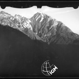 Staz. 33 - Bellunese - Ponte nelle Alpi - - LN00016705