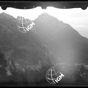 Staz. 33 - Bellunese - Ponte nelle Alpi - - LN00016706
