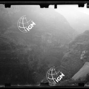 Staz. 39 - Bellunese - Monte Pelf - - LN00016740