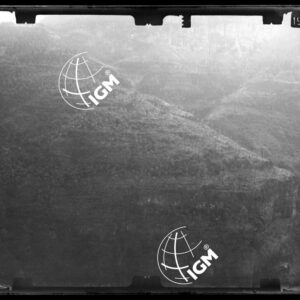 Staz. 39 - Bellunese - Monte Pelf - - LN00016742