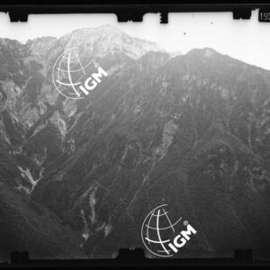 Staz. 41 - Bellunese - Pieve D'Alpago - - LN00016750