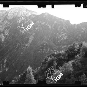 Staz. 41 - Bellunese - Pieve D'Alpago - - LN00016757
