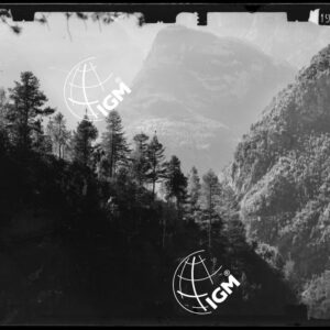 Staz. 44 - Bellunese - Monte Pelf - - LN00016768