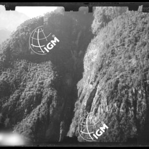 Staz. 44 - Bellunese - Monte Pelf - - LN00016769