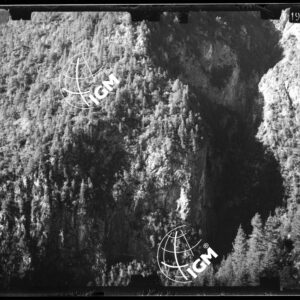 Staz. 44 - Bellunese - Monte Pelf - - LN00016770