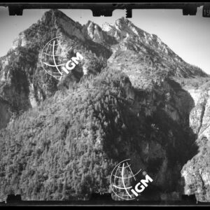 Staz. 44 - Bellunese - Monte Pelf - - LN00016771