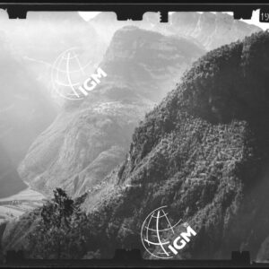 Staz. 44 - Bellunese - Monte Pelf - - LN00016772
