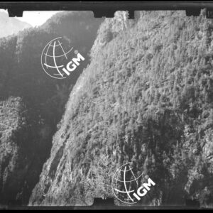 Staz. 44 - Bellunese - Monte Pelf - - LN00016773