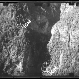 Staz. 44 - Bellunese - Monte Pelf - - LN00016774