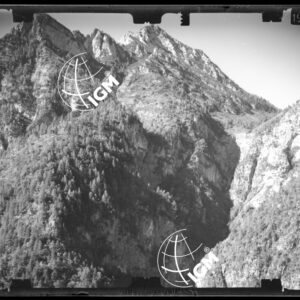 Staz. 44 - Bellunese - Monte Pelf - - LN00016775