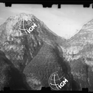 Staz. 48 - Bellunese - Monte Pelf - - LN00016790