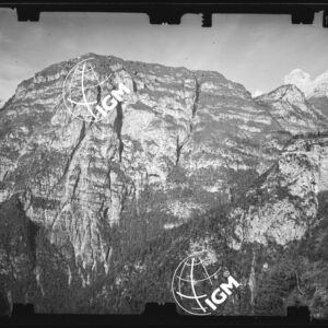 Staz. 48 - Bellunese - Monte Pelf - - LN00016791