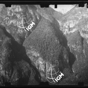 Staz. 48 - Bellunese - Monte Pelf - - LN00016792