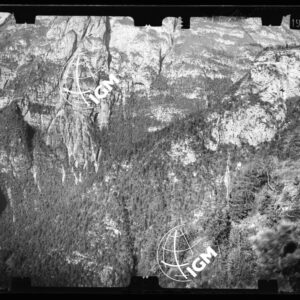 Staz. 48 - Bellunese - Monte Pelf - - LN00016793