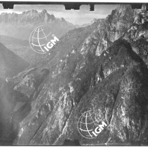 Staz. 48 - Bellunese - Monte Pelf - - FT00002442