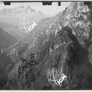 Staz. 48 - Bellunese - Monte Pelf - - FT00002443