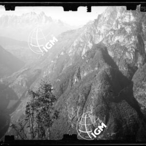 Staz. 48 - Bellunese - Monte Pelf - - LN00016794