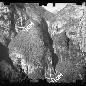 Staz. 48 - Bellunese - Monte Pelf - - LN00016795