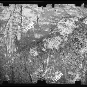 Staz. 48 - Bellunese - Monte Pelf - - LN00016796