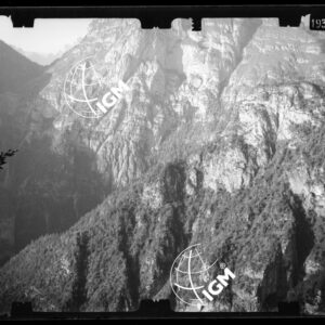 Staz. 49 e 50 - Bellunese - Monte Pelf - - LN00016797