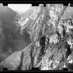 Staz. 49 e 50 - Bellunese - Monte Pelf - - LN00016798
