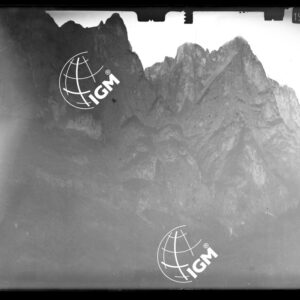 Staz. 49 e 50 - Bellunese - Monte Pelf - - LN00016799