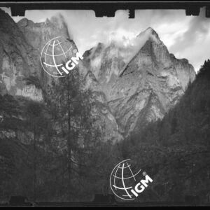 Staz. 49 e 50 - Bellunese - Monte Pelf - - LN00016800