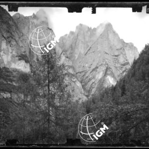 Staz. 49 e 50 - Bellunese - Monte Pelf - - LN00016801