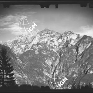 Staz. 51 - Bellunese - Monte Pelf - - LN00016802