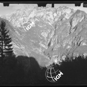 Staz. 51 - Bellunese - Monte Pelf - - LN00016803
