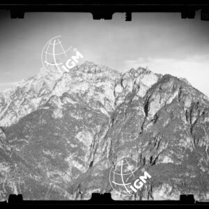Staz. 51 - Bellunese - Monte Pelf - - LN00016804