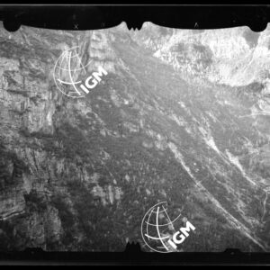Staz. 52 - Bellunese - Monte Pelf - - LN00016806