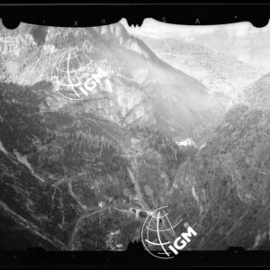 Staz. 52 - Bellunese - Monte Pelf - - LN00016807
