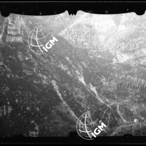 Staz. 52 - Bellunese - Monte Pelf - - LN00016808